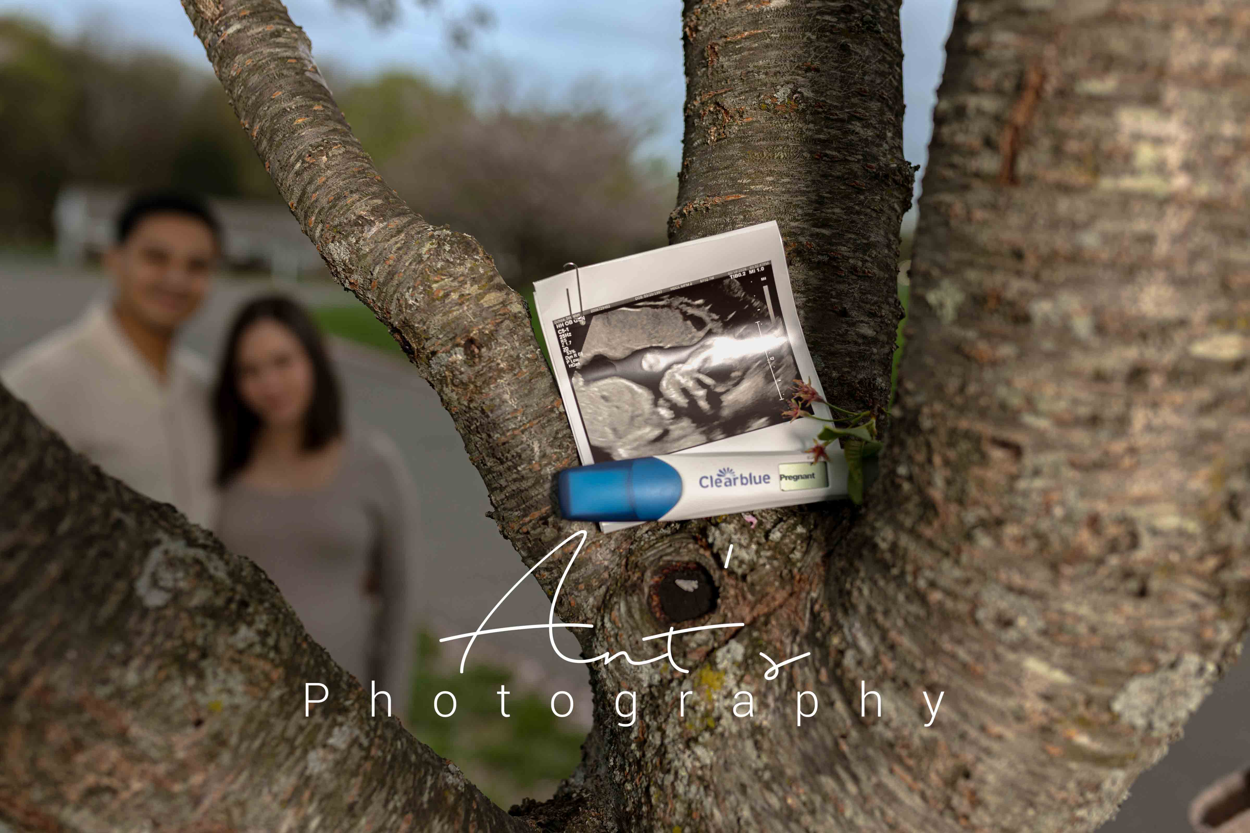 Maternity portrait session